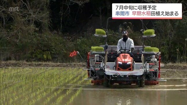 早期水稲が盛んな串間市　早くも田植えが始まる|TBS NEWS DIG