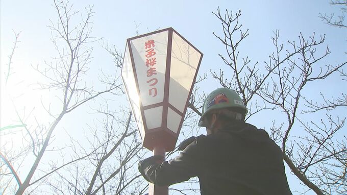 米子桜まつり"ぼんぼり"取り付け　当初より「2日早め」開催へ　屋台40店が出店予定で見どころは「夜桜」　|　BSSニュース | BSS山陰放送