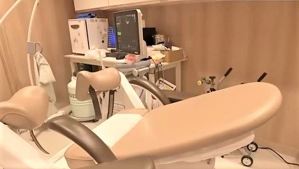 “ノンメディカル”な卵子凍結　東京都では4500人超が実施済　現在パートナーがいない健康な30代～40代が将来に備える傾向