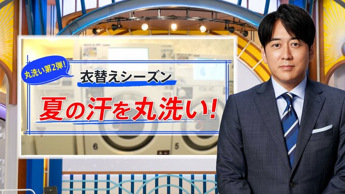 クサっ！“夏の汗”が染み込んだソファーやカーペットを丸洗い！楽チンお得な「自分流」と「プロの技」【THE TIME,】|TBS NEWS DIG