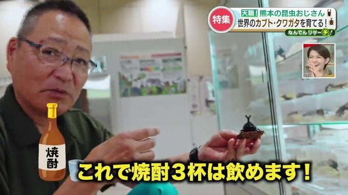 家に昆虫1000匹以上！？「虫を見つめて焼酎3杯いける」ほどの愛で“人気展示ブース”を生んだ　『カブトムシ・クワガタ』が好きすぎる熊本の昆虫おじさん　|　熊本のニュース｜RKK NEWS｜RKK熊本放送