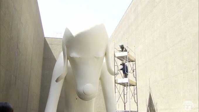 「あおもり犬」洗浄できれいさっぱり“ワン”トーンアップ！　「やっぱり輝きが違いますね！」美白取り戻し真っ白な毛並みでのんびり日光浴　青森県立美術館　青森市|TBS NEWS DIG