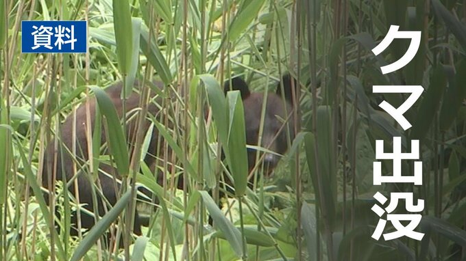 近くに小学校もある閑静な住宅街でクマによる物的被害　家の網戸を破られる　盛岡市　|　IBC NEWS | IBC岩手放送