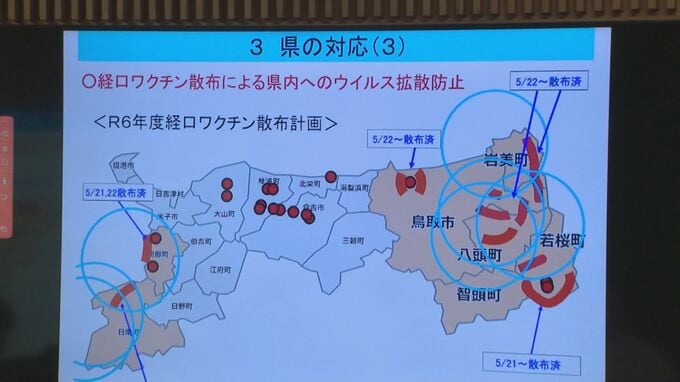 鳥取県日南町で野生イノシシの豚熱感染確認　県が対策に乗り出す　|　BSSニュース | BSS山陰放送