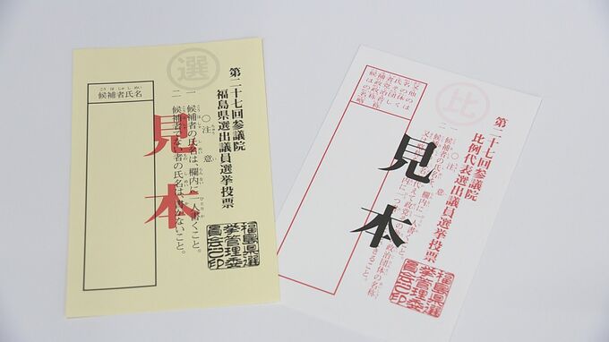 投票用紙は白とクリーム色の「2枚」投票所には支援制度も…選挙の仕組みを再確認【参議院選挙】|TBS NEWS DIG