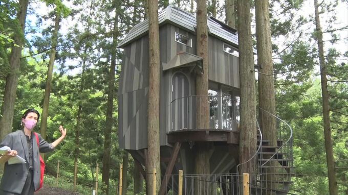 ワクワクすること間違いなし！泊まれる”ツリーハウス”完成！島根県江津市|TBS NEWS DIG