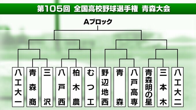 夏の高校野球　青森県大会　組み合わせ決まる|TBS NEWS DIG