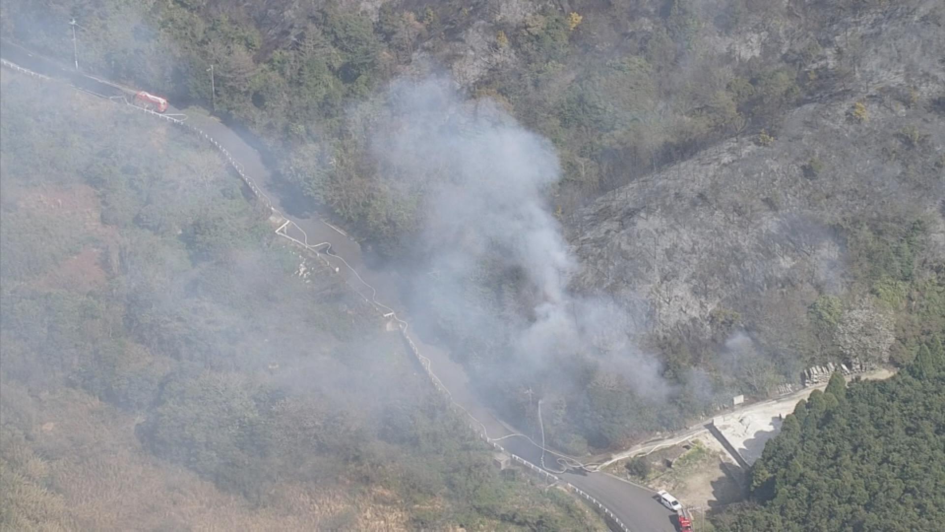 五島の山火事 68歳男を略式起訴 「木の枝」発端に山林6ヘクタールが