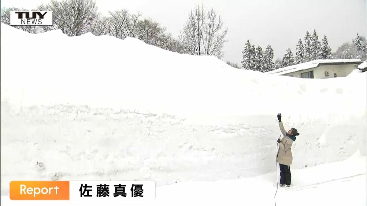 山形 県 積雪 情報