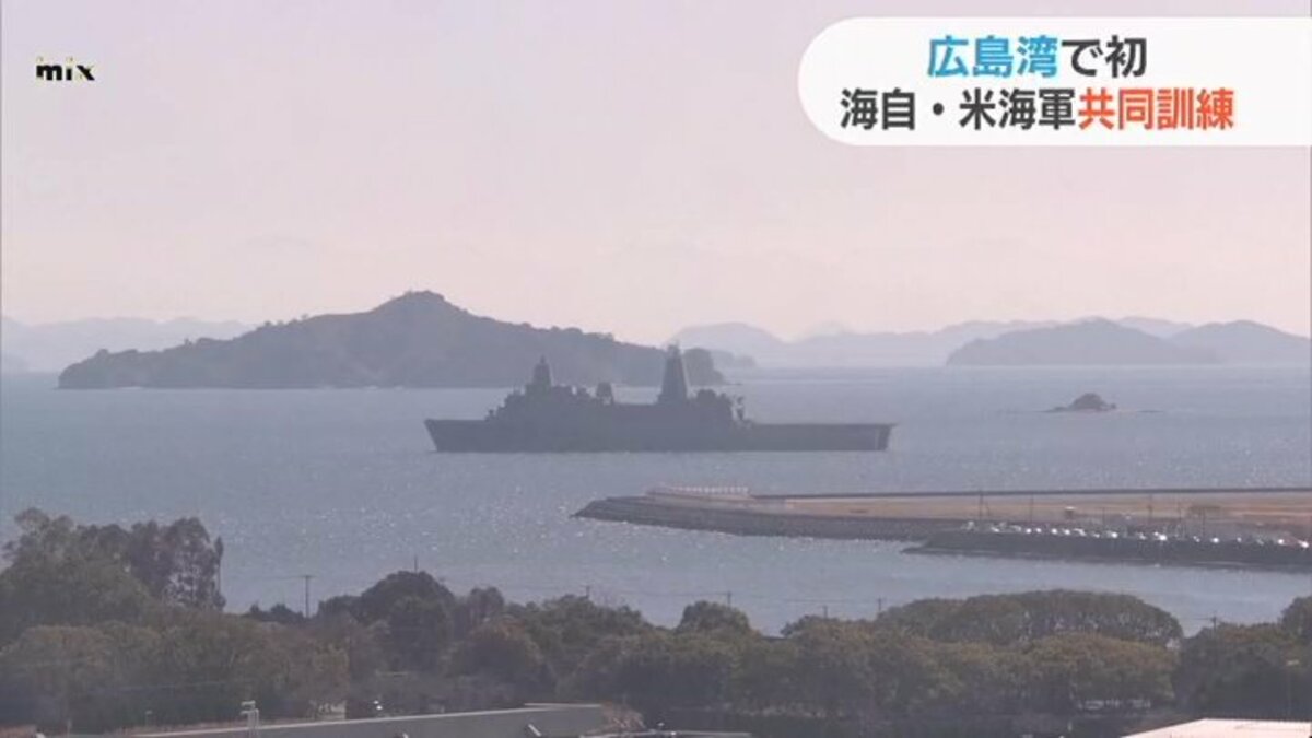 米海軍実物 サマー・ウォーキング・カーキ USN米海軍 岩国厚木横須賀 米海軍 NAVY パンサーモデル ミリタリーTシャツ 爆弾 黒猫 / ストーン