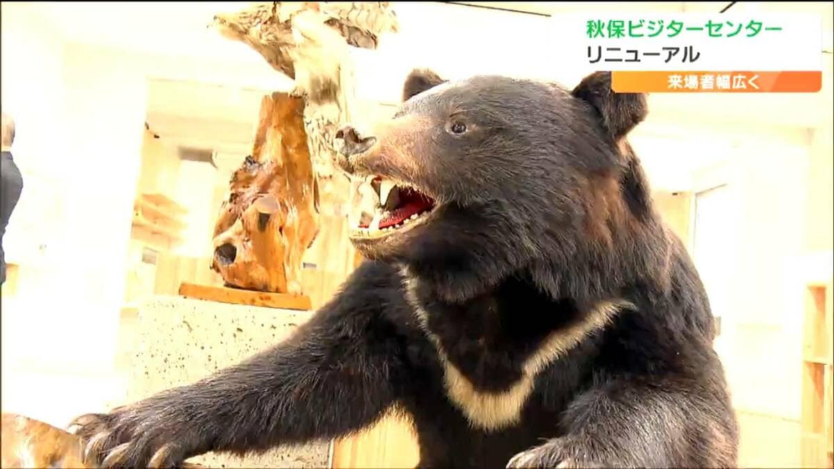 クマの剥製 中山 img_a2cdd4e718e995fcd50537708e