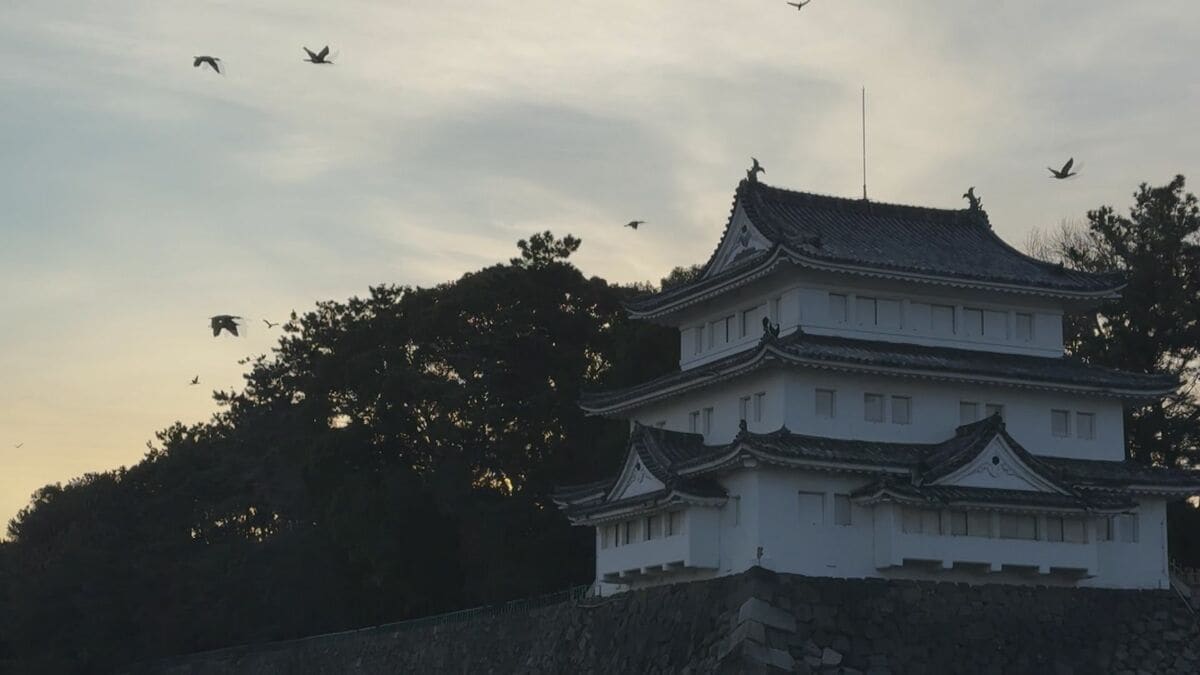 まるで映画｢鳥｣さながら 名古屋城の石垣が“真っ白”に… 上空には“黒い鳥”の大群 ｢3年ぶりの到来｣