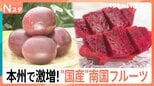 パッションフルーツにパパイヤ…千葉や埼玉で南国フルーツが急増 ドラゴンフルーツは「皮」も絶品【Nスタ】|TBS NEWS DIG