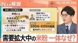 コメ高騰の中なぜ米粉が注目? 利用拡大目指す“コメニ”発足 農水省の狙いは【Nスタ解説】|TBS NEWS DIG