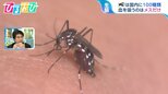 「最後まで血を吸わせた方が、かゆくならない!?」涼しくなって増えた『蚊』の生態を研究者に聞く 足のニオイとの関係や叩くときのコツも【ひるおび】|TBS NEWS DIG