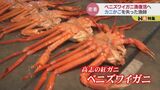 ベニズワイガニ漁復活へ カニ籠を失った漁師 再起かけた現場に密着 富山湾 | 富山のニュース|天気・防災|チューリップテレビ