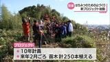 ハチミツをとるための山づくりを 養蜂農家と山師が「蜜源プロジェクトをスタート | MRTニュース | MRT宮崎放送