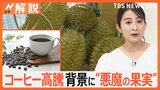 コーヒー豆高騰の背景に…中国でブーム“悪魔のフルーツ”、ピザや火鍋にも【Nスタ解説】|TBS NEWS DIG