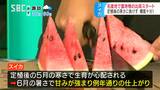 6月の暑さで糖度上がって12.5度に！「ハイランドスイカで暑い夏を乗り切って…」名産地・信州松本波田で露地物の初出荷　|　SBC NEWS | 長野のニュース | SBC信越放送