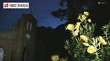 月あかりの下10分ほどで花開く月見草【長崎県五島市 堂崎教会】 | 長崎のニュース | 天気 | NBC長崎放送