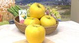 「1日1個食べれば内臓脂肪の数値下がる効果も…」シナノゴールドとしては全国初、機能性表示食品のリンゴ「ながまるアップル」販売へ|TBS NEWS DIG