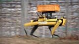 犬型ロボットで農作業の支援を 岡山大学と高知工科大学が体験会 人手不足の農家に役立てたい【岡山】|TBS NEWS DIG