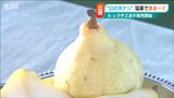 「食感はトロトロ 食べた瞬間に口から消える!」特産の西洋梨『ルレクチエ』初出荷 新潟|TBS NEWS DIG