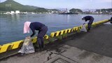 約270人が参加 日南市の油津港でボランティアによる一斉清掃|TBS NEWS DIG