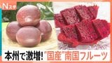 パッションフルーツにパパイヤ…千葉や埼玉で南国フルーツが急増 ドラゴンフルーツは「皮」も絶品【Nスタ】|TBS NEWS DIG