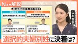 「30年に一度のチャンス」？どうなる選択的夫婦別姓　漂流か決着か…立ちはだかる“2つの壁”【Nスタ解説】|TBS NEWS DIG
