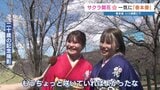 熊本の桜「開花」と共に春本番のあたたかさ　沖縄からの観光客「思ったより暑い」満開は…もうちょっと先|TBS NEWS DIG