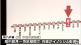 イノシシと衝突→線路内に死体確認で撤去作業のためJR八戸線で一時運転を見合わせ　久慈～階上駅間で運休や遅れ計3本が発生も午前9時前にイノシシの撤去完了　上下線で運転再開|TBS NEWS DIG