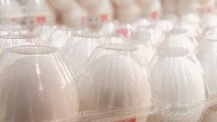 “物価の優等生”たまごが10か月連続で値上がり（前年同月比）　鳥インフルエンザの影響で　今後秋冬に需要増| TBS CROSS DIG with Bloomberg