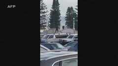 オーストラリア・シドニーの名所ボンダイビーチで銃撃事件　9人死亡　ユダヤ教の祭りが催されている最中に　容疑者のうち1人を射殺| TBS CROSS DIG with Bloomberg