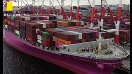 ペルシャ湾で停泊中に損傷　商船三井のコンテナ船「船体の2か所に穴が開いた状態」 約40キロ移動した場所で停泊中|TBS NEWS DIG