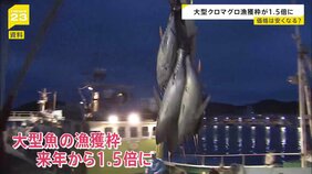 大型クロマグロ　漁獲枠　1.5倍に拡大で合意　日本・アメリカ・中国など26の国と地域が参加の国際会議　フィジー|TBS NEWS DIG
