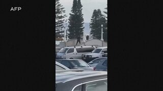 オーストラリア・シドニーの名所ボンダイビーチで銃撃事件　9人死亡　ユダヤ教の祭りが催されている最中に　容疑者のうち1人を射殺| TBS CROSS DIG with Bloomberg