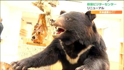 鋭い爪に驚きクマの剥製が間近に「秋保ビジターセンター」リニューアル