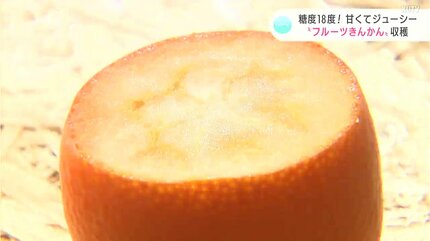ジューシーでおいしい！」糖度18度 そのまま食べられる“フルーツ