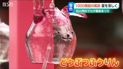 1000個以上の風鈴の音で涼やかに…白山神社で『七夕風鈴まつり』「照明