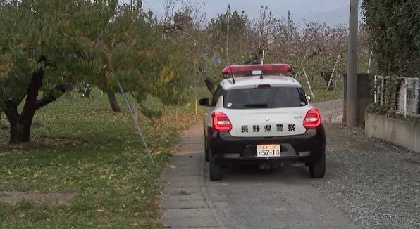 「駐車場を走り回っていた」長野市南部でイノノシの目撃情報相次ぐ　11件が寄せられるも発見に至らず　住民に注意呼びかけ　|　SBC NEWS | 長野のニュース | SBC信越放送