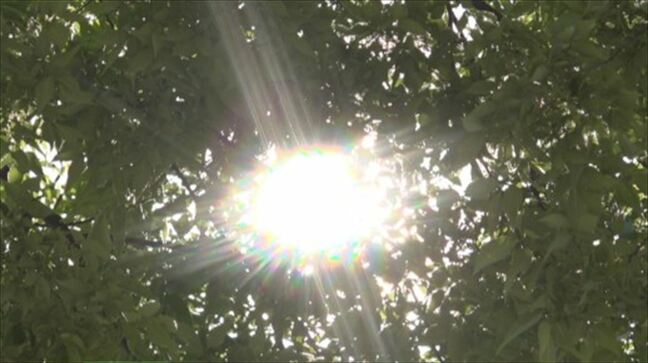 8地点で夏日 昨日より10度以上高くなった場所も この時期は暑さに慣れていないため熱中症に注意 山梨|TBS NEWS DIG