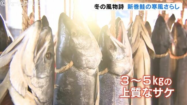 お歳暮用として人気 冬の風物詩「新巻鮭」の寒風さらし始まる 富山|TBS NEWS DIG