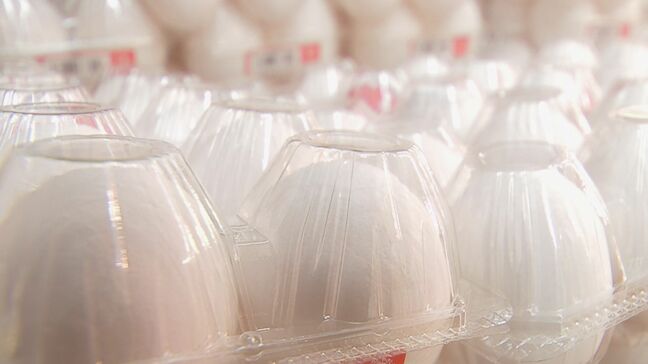 “物価の優等生”たまごが10か月連続で値上がり(前年同月比) 鳥インフルエンザの影響で 今後秋冬に需要増|TBS NEWS DIG