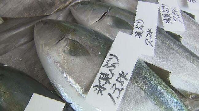 丸々一本買いまで…県内外からその味求め”ブリの聖地”氷見に 「ひみ寒ぶり宣言」待ち望む声 富山|TBS NEWS DIG