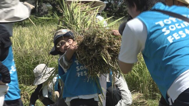 富山県産の酒米“雄山錦”の稲刈りに子どもたちが挑戦|TBS NEWS DIG