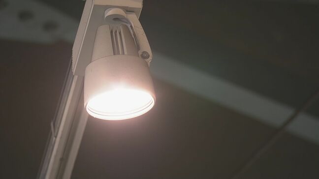 停電“ほぼ復旧” 岐阜市中央卸売市場はあさってから通常営業 ｢こうじゃなくちゃ｣ 場内の事故が原因で“異例の競り”に|TBS NEWS DIG