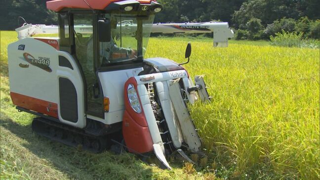 新米の収穫始まる 気になる今年の新米価格は…「5キロで銘柄米が5000円前後くらいの販売価格になるのかなという感じ」 農家は概算金アップに期待|TBS NEWS DIG