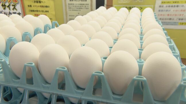 卵が高い「1パックあたりで約50円アップ」 鳥インフルエンザの影響続く…今後価格はどうなるの？|TBS NEWS DIG