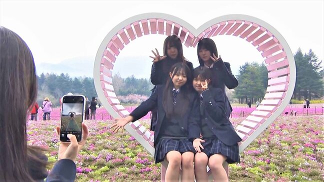 50万株のシバザクラ 富士山のすそ野を染め上げる 「富士芝桜まつり」が開催 山梨・富士河口湖町|TBS NEWS DIG